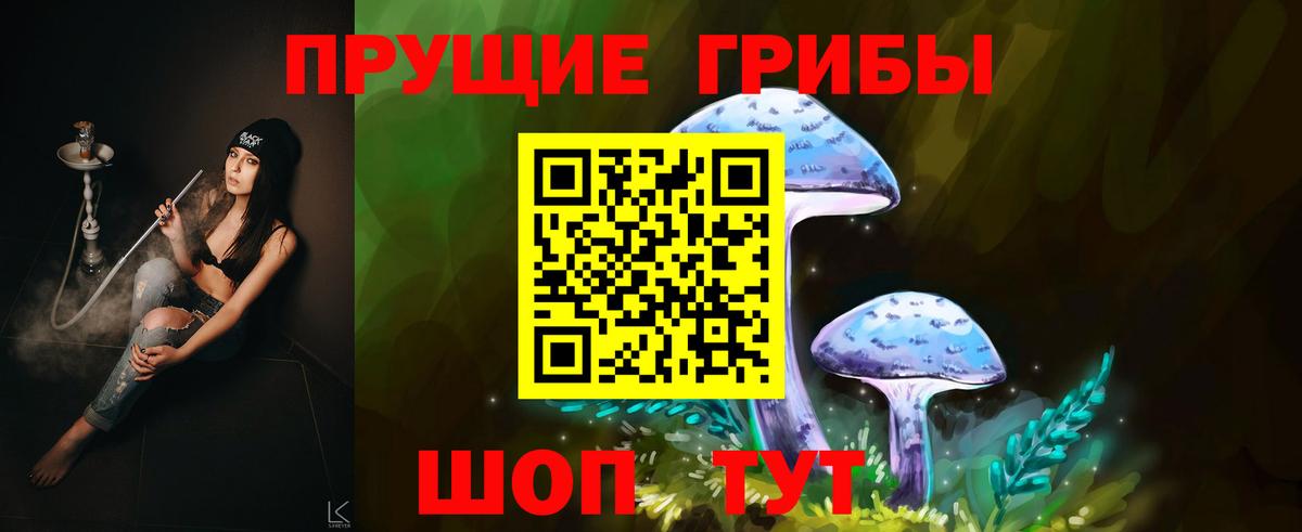 Санкт-Петербург  Псилоцибиновые грибы GOLDEN TEACHER  Вход с VPN 